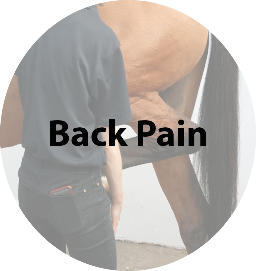 Back Pain(2).jpg