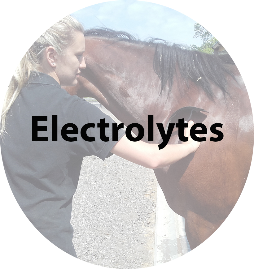 Electrolytes(1).jpg