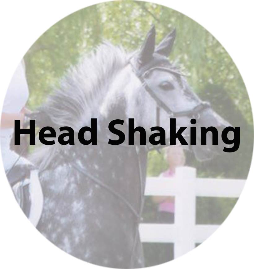 head shaking(1).jpg