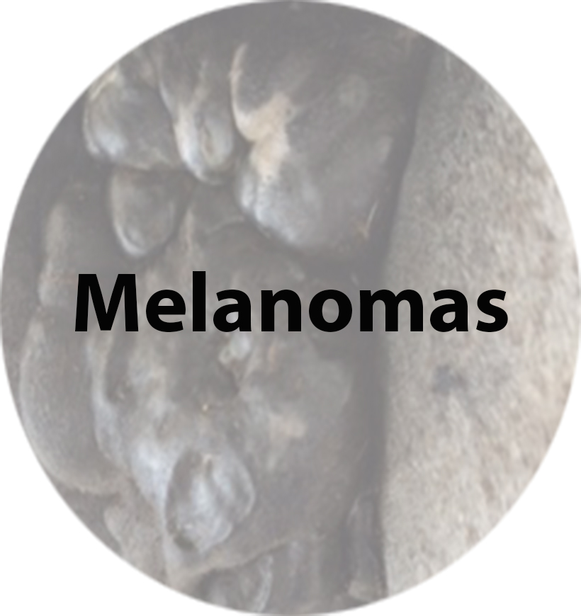 Melanomas(1).jpg