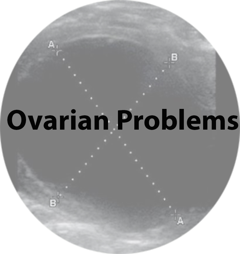 ovarian problems(1).jpg